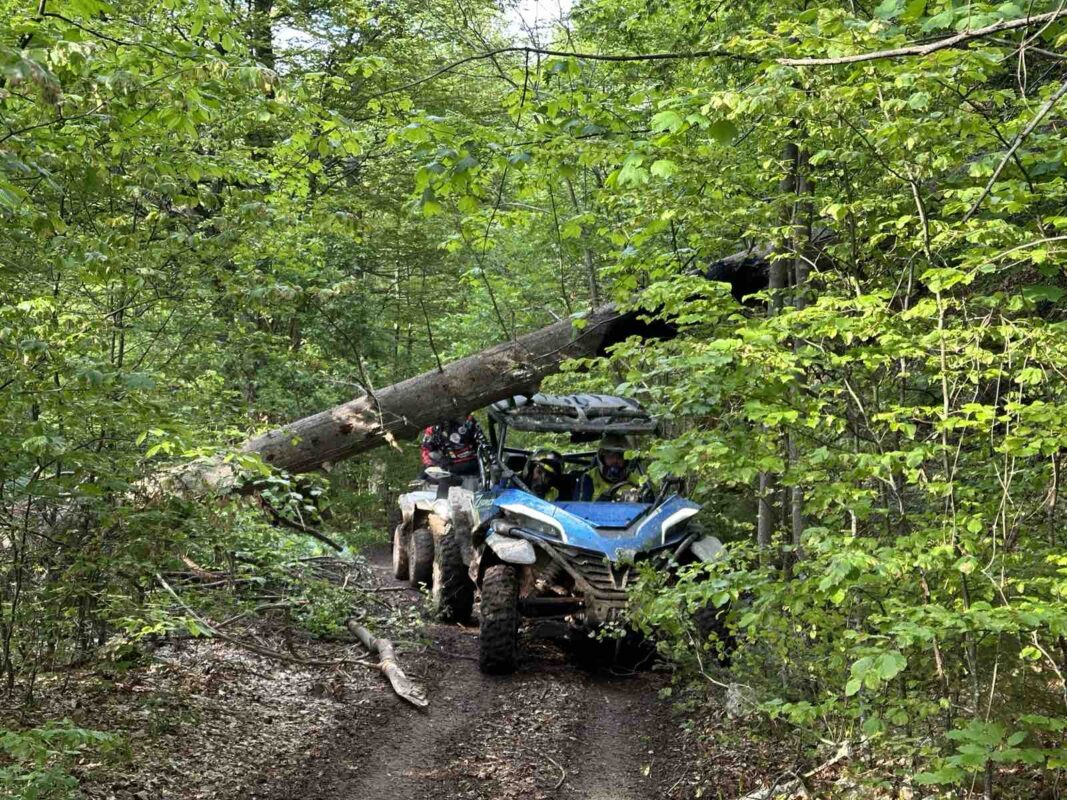 Quad Ride Sema Cfmoto 10 1